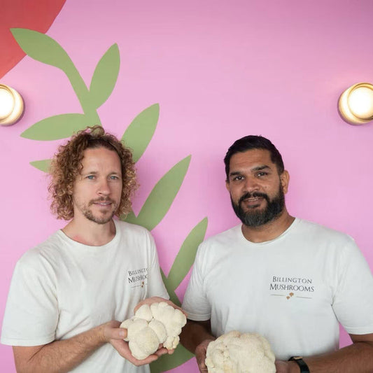 We Were Interviewed by Babble Hove – Read Our Journey Here