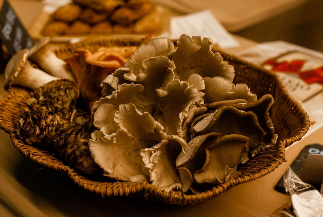 We’re Going to the Christmas Markets This December!