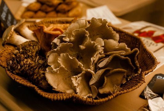 We’re Going to the Christmas Markets This December!