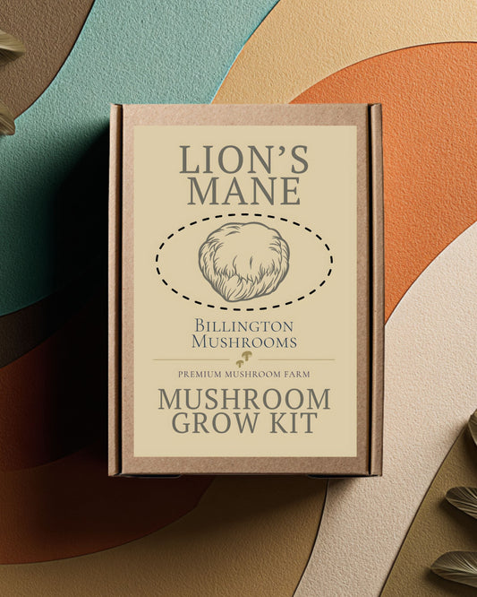 Lion's Mane Grow Kit